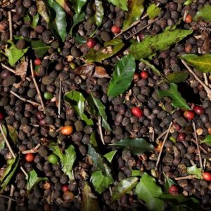 Exportação de café verde do Brasil recua 25,7% em fevereiro, diz Cecafé